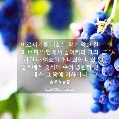 Picture 05 - 예레미야 25:5 KOR - 이르시기를 너희는 각기 악한 길과 - Bible Verse Picture