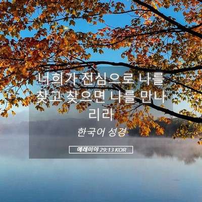 Picture 05 - 예레미야 29:13 KOR - 너희가 전심으로 나를 찾고 찾으면 - Bible Verse Picture