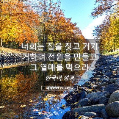 Picture 05 - 예레미야 29:5 KOR - 너희는 집을 짓고 거기 거하며 - Bible Verse Picture