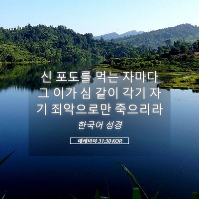 Picture 05 - 예레미야 31:30 KOR - 신 포도를 먹는 자마다 그 이가 심 - Bible Verse Picture