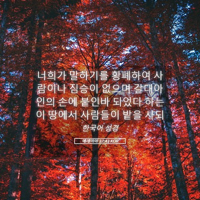 Picture 05 - 예레미야 32:43 KOR - 너희가 말하기를 황폐하여 사람이나 - Bible Verse Picture