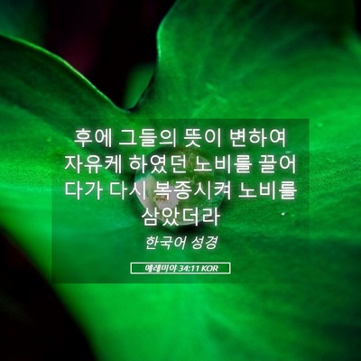 Picture 05 - 예레미야 34:11 KOR - 후에 그들의 뜻이 변하여 자유케 - Bible Verse Picture
