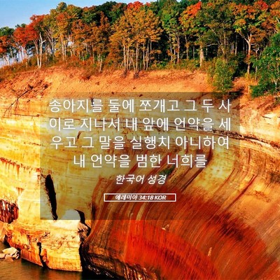 Picture 05 - 예레미야 34:18 KOR - 송아지를 둘에 쪼개고 그 두 사이로 - Bible Verse Picture