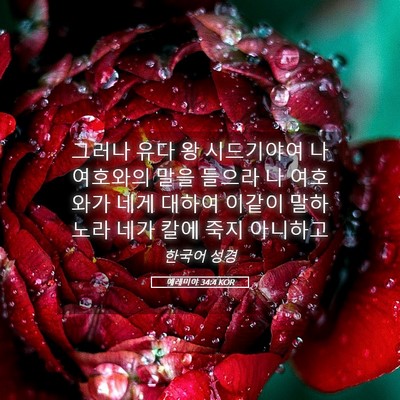 Picture 05 - 예레미야 34:4 KOR - 그러나 유다 왕 시드기야여 나 - Bible Verse Picture