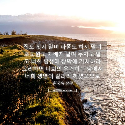 Picture 05 - 예레미야 35:7 KOR - 집도 짓지 말며 파종도 하지 말며 - Bible Verse Picture
