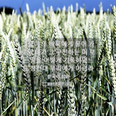 Picture 05 - 예레미야 36:17 KOR - 그들이 또 바룩에게 물어 가로되 - Bible Verse Picture