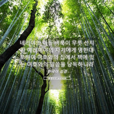 Picture 05 - 예레미야 36:8 KOR - 네리야의 아들 바룩이 무릇 선지자 - Bible Verse Picture