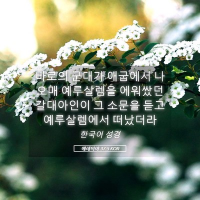 Picture 05 - 예레미야 37:5 KOR - 바로의 군대가 애굽에서 나오매 - Bible Verse Picture
