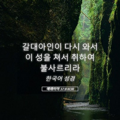 Picture 05 - 예레미야 37:8 KOR - 갈대아인이 다시 와서 이 성을 쳐서 - Bible Verse Picture