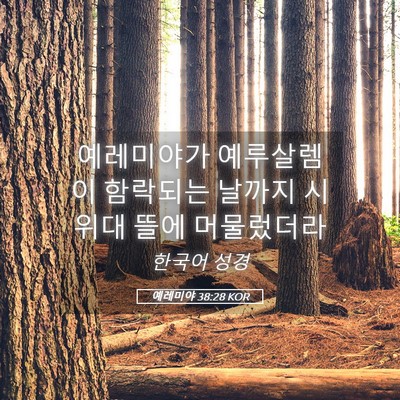 Picture 05 - 예레미야 38:28 KOR - 예레미야가 예루살렘이 함락되는 - Bible Verse Picture