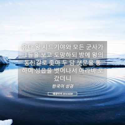 Picture 05 - 예레미야 39:4 KOR - 유다 왕 시드기야와 모든 군사가 - Bible Verse Picture