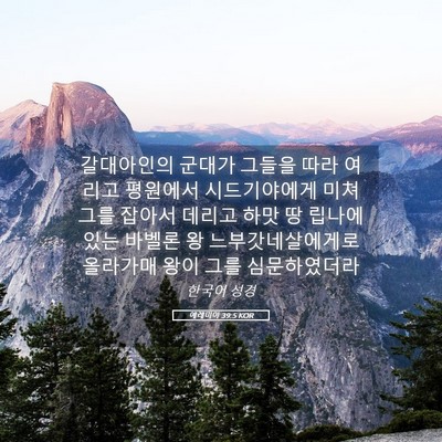 Picture 05 - 예레미야 39:5 KOR - 갈대아인의 군대가 그들을 따라 - Bible Verse Picture