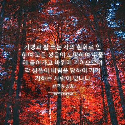 Picture 05 - 예레미야 4:29 KOR - 기병과 활 쏘는 자의 훤화로 인하여 - Bible Verse Picture