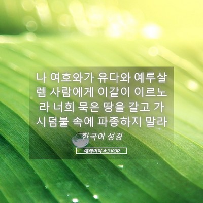 Picture 05 - 예레미야 4:3 KOR - 나 여호와가 유다와 예루살렘 - Bible Verse Picture