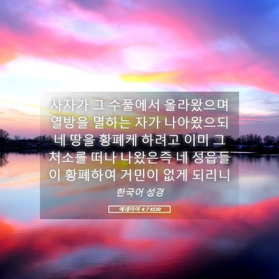 Picture 05 - 예레미야 4:7 KOR - 사자가 그 수풀에서 올라왔으며 - Bible Verse Picture