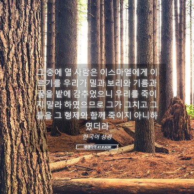 Picture 05 - 예레미야 41:8 KOR - 그 중에 열 사람은 이스마엘에게 - Bible Verse Picture