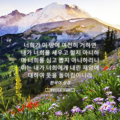 Picture 05 - 예레미야 42:10 KOR - 너희가 이 땅에 여전히 거하면 내가 - Bible Verse Picture