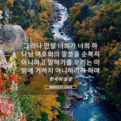 Picture 05 - 예레미야 42:13 KOR - 그러나 만일 너희가 너희 하나님 - Bible Verse Picture