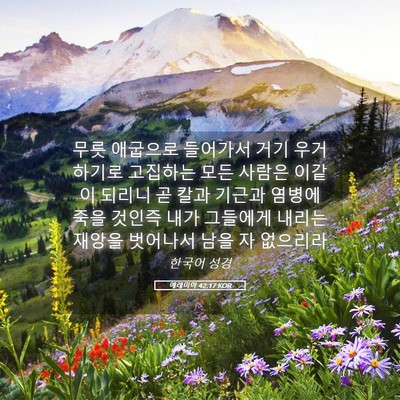 Picture 05 - 예레미야 42:17 KOR - 무릇 애굽으로 들어가서 거기 - Bible Verse Picture