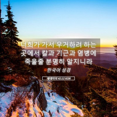Picture 05 - 예레미야 42:22 KOR - 너희가 가서 우거하려 하는 곳에서 - Bible Verse Picture