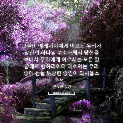Picture 05 - 예레미야 42:5 KOR - 그들이 예레미야에게 이르되 우리가 - Bible Verse Picture
