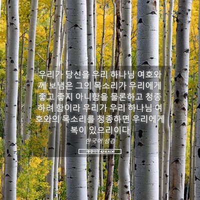 Picture 05 - 예레미야 42:6 KOR - 우리가 당신을 우리 하나님 여호와께 - Bible Verse Picture