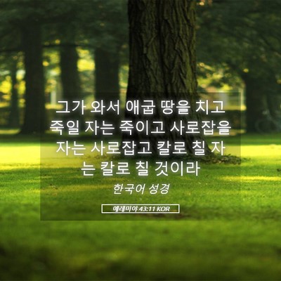 Picture 05 - 예레미야 43:11 KOR - 그가 와서 애굽 땅을 치고 죽일 자는 - Bible Verse Picture