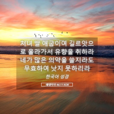 Picture 05 - 예레미야 46:11 KOR - 처녀 딸 애굽이여 길르앗으로 - Bible Verse Picture