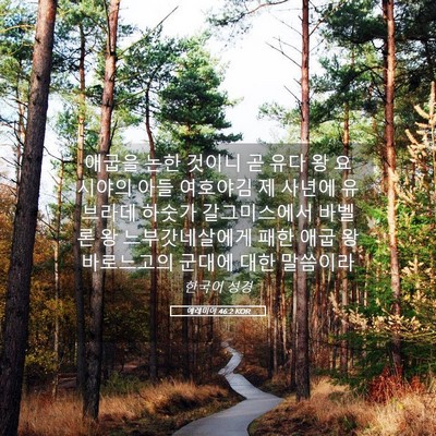 Picture 05 - 예레미야 46:2 KOR - 애굽을 논한 것이니 곧 유다 왕 - Bible Verse Picture