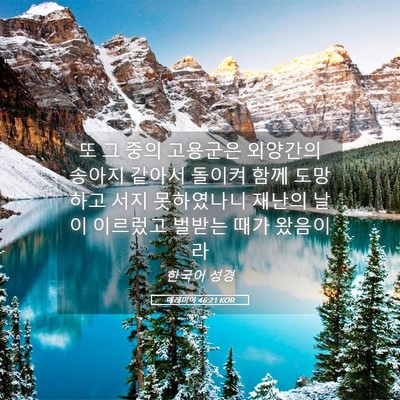 Picture 05 - 예레미야 46:21 KOR - 또 그 중의 고용군은 외양간의 - Bible Verse Picture