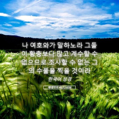 Picture 05 - 예레미야 46:23 KOR - 나 여호와가 말하노라 그들이 - Bible Verse Picture