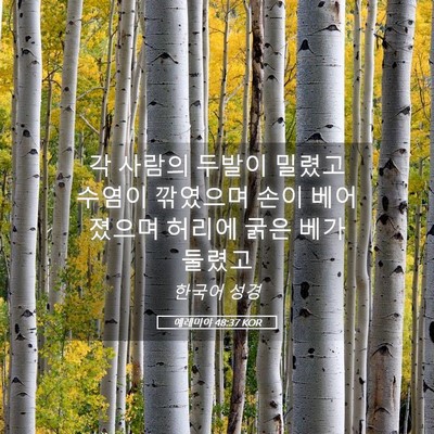 Picture 05 - 예레미야 48:37 KOR - 각 사람의 두발이 밀렸고 수염이 - Bible Verse Picture