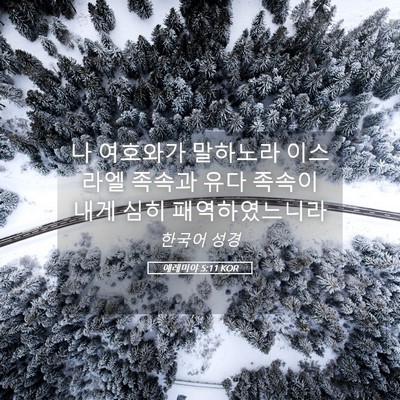Picture 05 - 예레미야 5:11 KOR - 나 여호와가 말하노라 이스라엘 - Bible Verse Picture