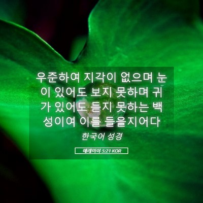 Picture 05 - 예레미야 5:21 KOR - 우준하여 지각이 없으며 눈이 있어도 - Bible Verse Picture