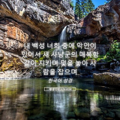 Picture 05 - 예레미야 5:26 KOR - 내 백성 너희 중에 악인이 있어서 새 - Bible Verse Picture