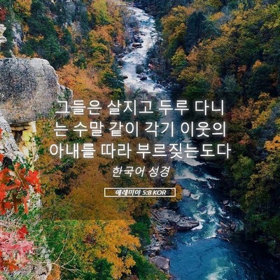 Picture 05 - 예레미야 5:8 KOR - 그들은 살지고 두루 다니는 수말 - Bible Verse Picture