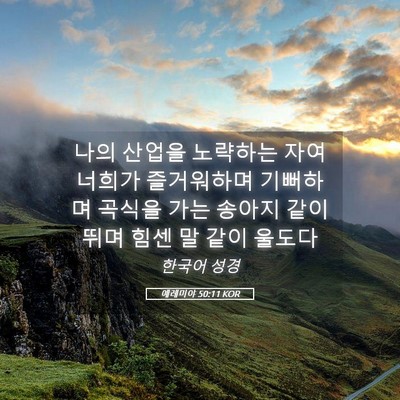 Picture 05 - 예레미야 50:11 KOR - 나의 산업을 노략하는 자여 너희가 - Bible Verse Picture