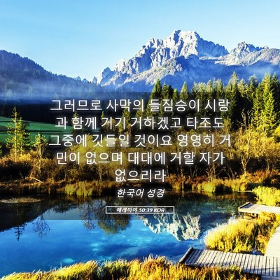 Picture 05 - 예레미야 50:39 KOR - 그러므로 사막의 들짐승이 시랑과 - Bible Verse Picture