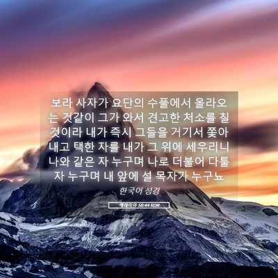 Picture 05 - 예레미야 50:44 KOR - 보라 사자가 요단의 수풀에서 - Bible Verse Picture