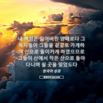 Picture 05 - 예레미야 50:6 KOR - 내 백성은 잃어버린 양떼로다 그 - Bible Verse Picture
