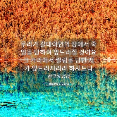 Picture 05 - 예레미야 51:4 KOR - 무리가 갈대아인의 땅에서 죽임을 - Bible Verse Picture
