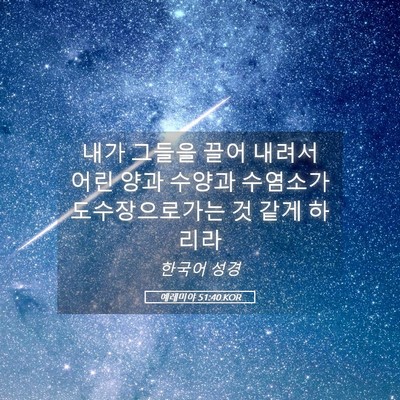 Picture 05 - 예레미야 51:40 KOR - 내가 그들을 끌어 내려서 어린 양과 - Bible Verse Picture