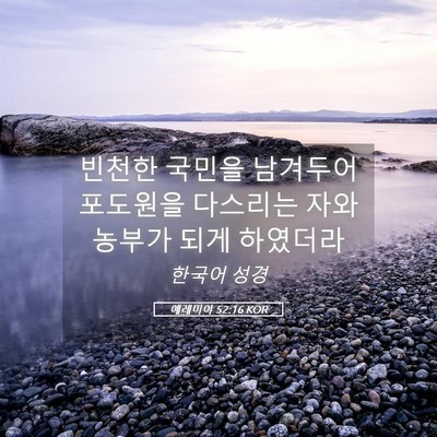 Picture 05 - 예레미야 52:16 KOR - 빈천한 국민을 남겨두어 포도원을 - Bible Verse Picture