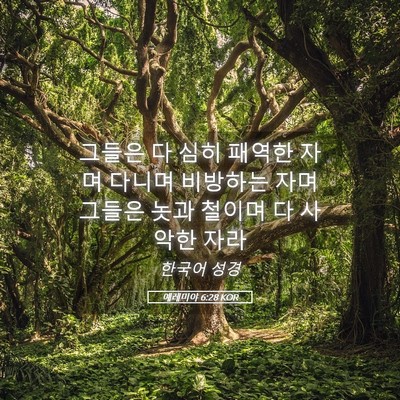 Picture 05 - 예레미야 6:28 KOR - 그들은 다 심히 패역한 자며 다니며 - Bible Verse Picture