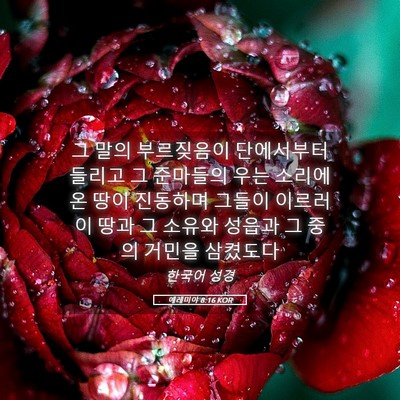 Picture 05 - 예레미야 8:16 KOR - 그 말의 부르짖음이 단에서부터 - Bible Verse Picture