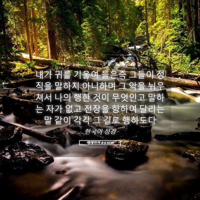 Picture 05 - 예레미야 8:6 KOR - 내가 귀를 기울여 들은즉 그들이 - Bible Verse Picture