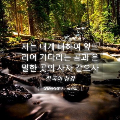 Picture 05 - 예레미야애가 3:10 KOR - 저는 내게 대하여 엎드리어 기다리는 - Bible Verse Picture