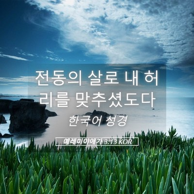 Picture 05 - 예레미야애가 3:13 KOR - 전동의 살로 내 허리를 - Bible Verse Picture