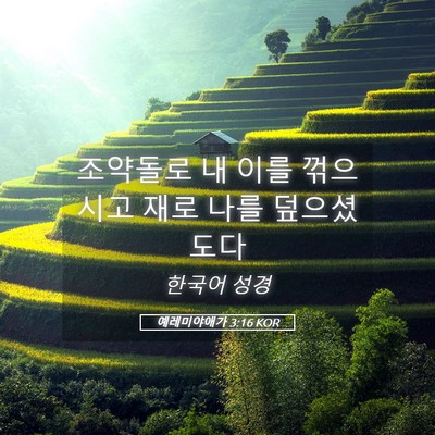 Picture 05 - 예레미야애가 3:16 KOR - 조약돌로 내 이를 꺾으시고 재로 - Bible Verse Picture