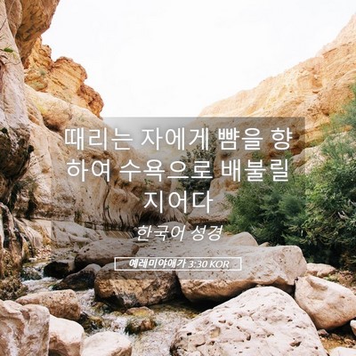 Picture 05 - 예레미야애가 3:30 KOR - 때리는 자에게 뺨을 향하여 수욕으로 - Bible Verse Picture